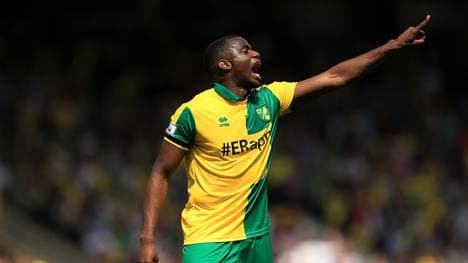 Sebastien Bassong muss mit Norwich City seinen nächsten Abstieg verkraften