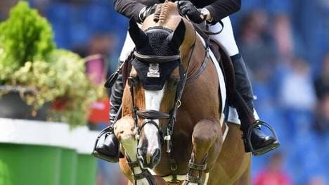 Das Pferd Firkov Du Rouet beim CHIO Aachen im Jahr 2019
