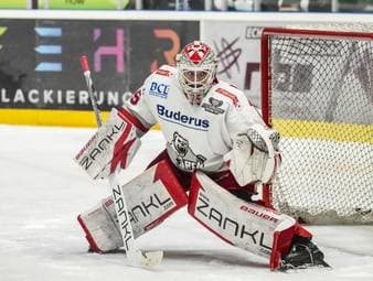 Eisbären verpflichten Toptalent