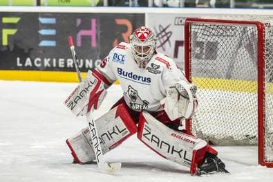 Eisbären verpflichten Toptalent
