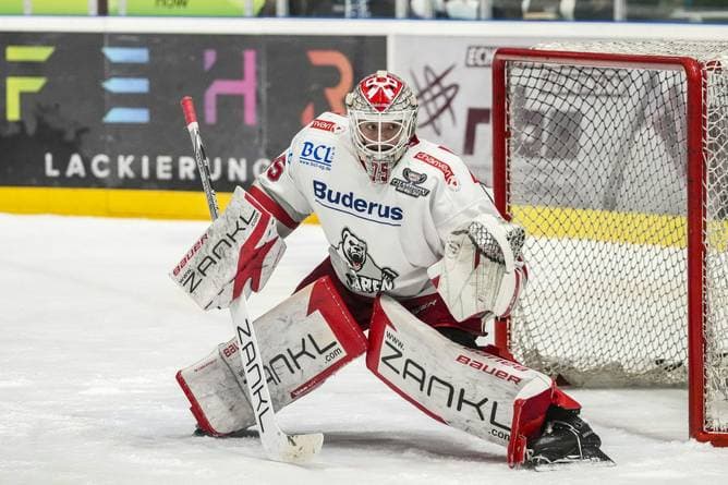 Eisbären verpflichten Toptalent