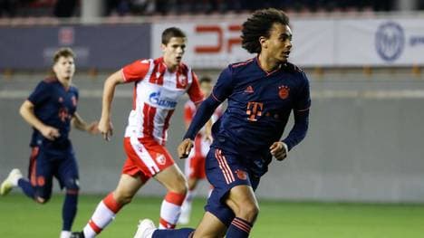 Joshua Zirkzee und der FC Bayern wollen die Jugend Tottenhams besiegen
