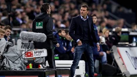 FC Schalke 04 v TSG 1899 Hoffenheim - Bundesliga