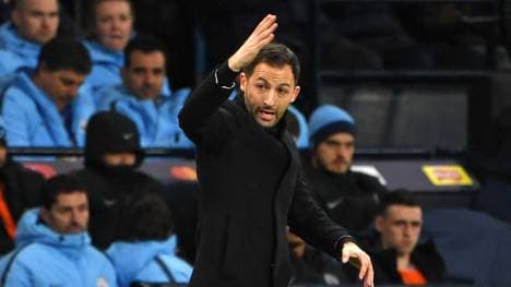 Domenico Tedesco trainierte bis März 2017 Schalke 04