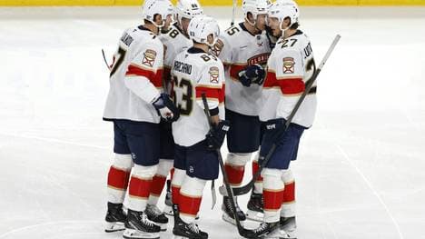Die Florida Panthers jubeln