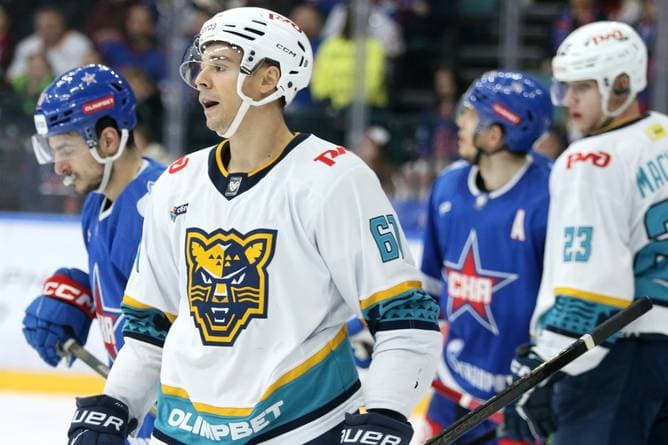 Straubing holt früheren NHL-Profi