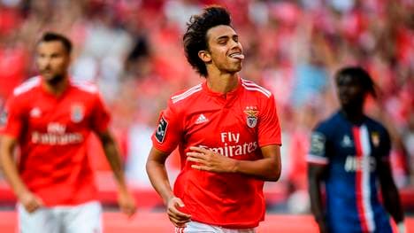 Joao Felix - Benfica Lissabon