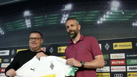 Marco Rose soll das Interesse Dortmunds geweckt haben  