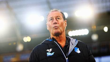 1899 Hoffenheim v SV Darmstadt 98 - Bundesliga