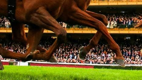 Cecilia Müller erleidet Bruch nach Sturz in Dortmund