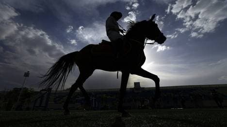 Trauer um Chromatic BF