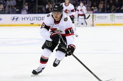 Dämpfer für Stützle und Seider