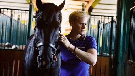 "Totilas" droht das Karriereende