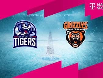Straubing Tigers - Grizzlys Wolfsburg: Tore und Highlights | PENNY DEL