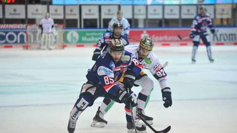 Die Eisbären Berlin verlieren bei den Iserlohn Roosters