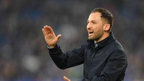 Schalke 04: Ex.Trainer Domenico Tedesco spricht über seine Entlassung , Trainer Domenico Tedesco musste bei Schalke 04 gehen