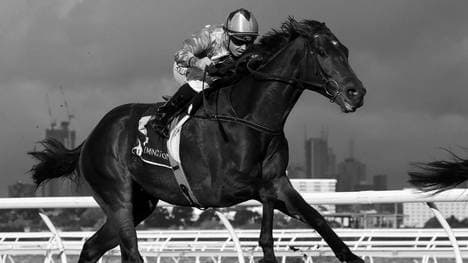 Jockey Dean Holland stirbt nach einem schweren Unfall