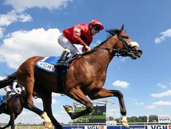 Ashrun in Melbourne ohne Chance - Außenseiter siegt