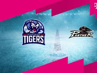 Straubing Tigers - Augsburger Panther: Tore und Highlights | PENNY DEL