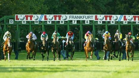 Pferdesport/Galopp: Euro Cup 2003