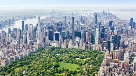 Im Central Park wird das WM-Finale live übertragen