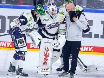 Bittere Nachricht für die Eisbären