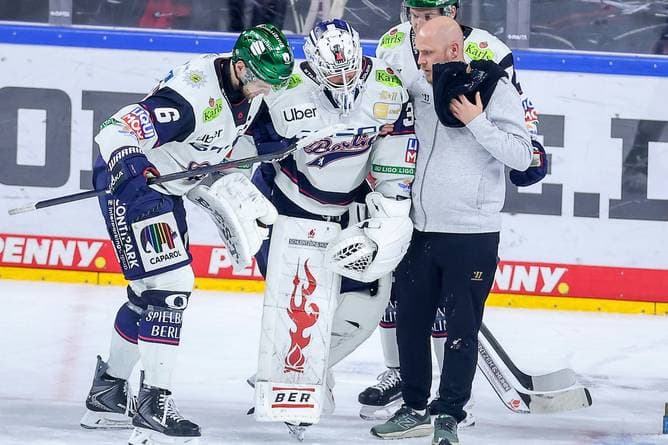 Bittere Nachricht für die Eisbären