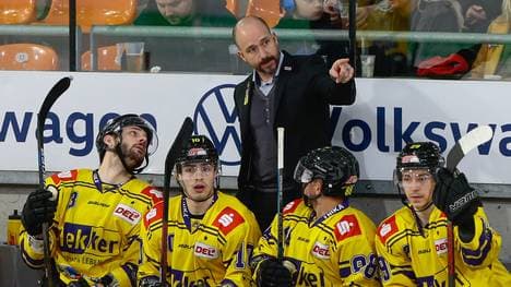Krefelder Pinguine haben Cheftrainer Brandon Reid gefeuert