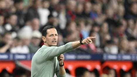 Dino Toppmöller feiert seine Premiere in der Königsklasse