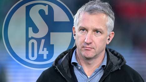 Künftig auf Schalke: Frank Baumann