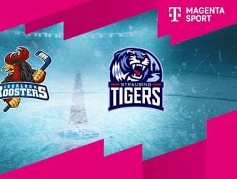 Iserlohn Roosters - Straubing Tigers: Tore und Highlights | PENNY DEL
