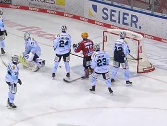 Pinguins Bremerhaven - Dresdner Eislöwen