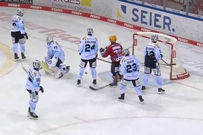 Pinguins Bremerhaven - Dresdner Eislöwen