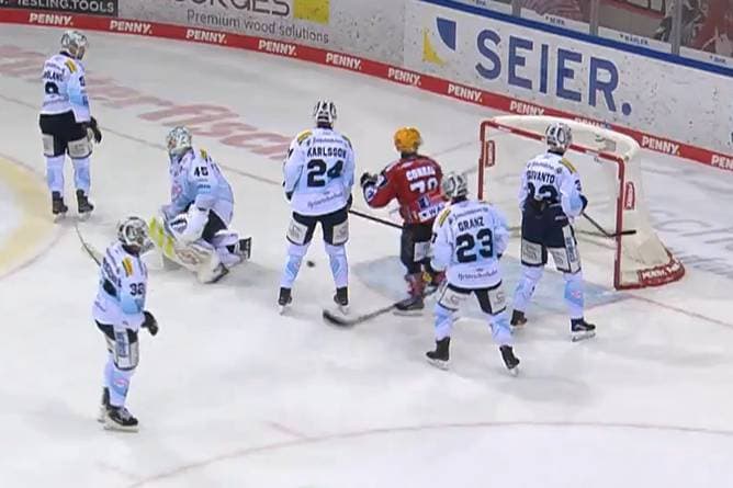 Pinguins Bremerhaven - Dresdner Eislöwen