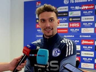 Dejan Ljubicic wechselt von Dinamo Zagreb zum FC Schalke 04 und hat Großes vor. Er spricht vom Aufstieg, erzählt, welche Rolle Edin Dzeko bei seinem Transfer gespielt hat und träumt von der WM-Teilnahme mit Österreich.