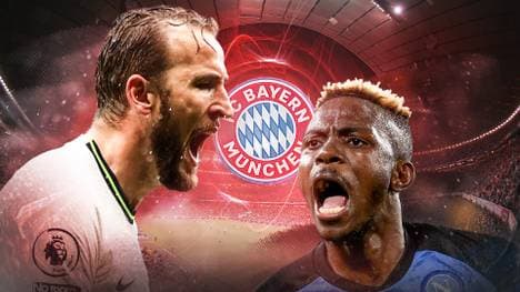 Kane vs. Osimhen! Wer passt besser zum FC Bayern?