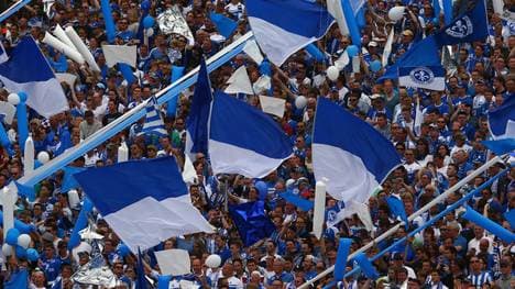 Fans von Darmstadt 98