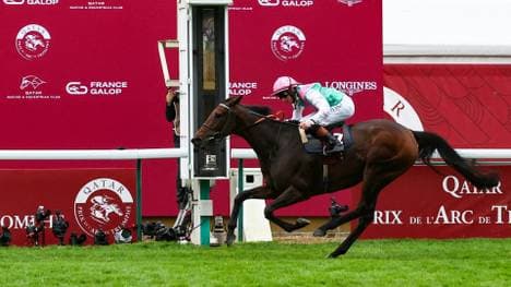 Bluestocking siegt in Paris