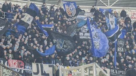 Friedliche Mannheim-Fans in Dresden