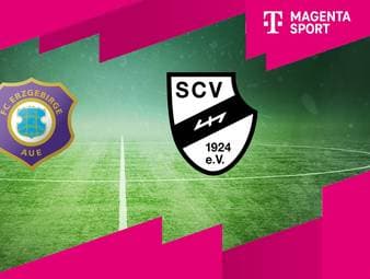 Erzgebirge Aue - SC Verl: Tore und Highlights | 3. Liga
