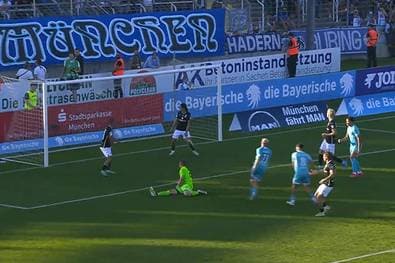 Gellendes Pfeifkonzert! Löwen zuhause vorgeführt