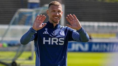 Edin Dzeko ist zurück im Schalke-Kader