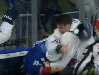 Adler Mannheim - Straubing Tigers: Tore und Highlights | PENNY DEL