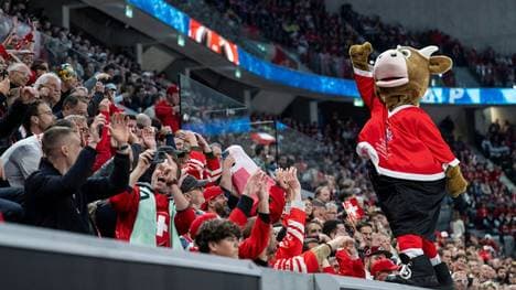 Viel Spaß in diesen Tagen: Schweizer Eishockey-Fans