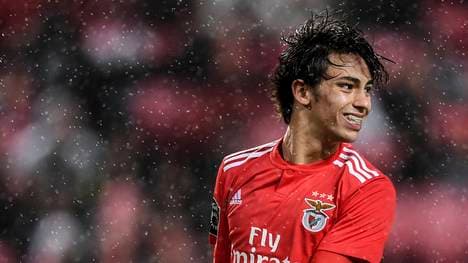 Joao Félix, Benfica Lissabon, Portugal, Atlético Madrid