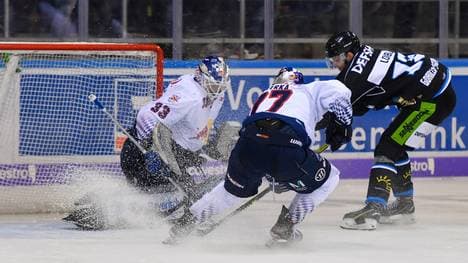 In München bittet der EHC Red Bull die Straubing Tigers zum Top-Spiel
