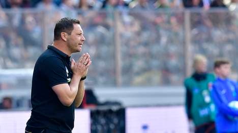 Pal Dardai während der Partie gegen Werder Bremen