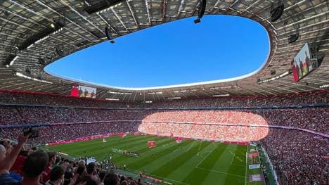 Bundesliga Wettquoten