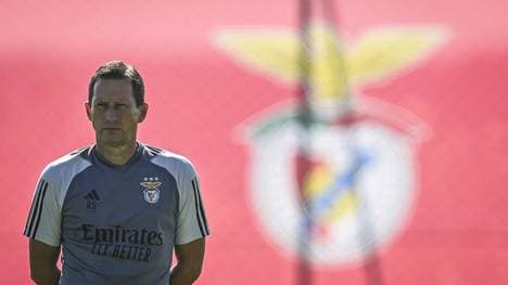 Zufrieden trotz Niederlage: Roger Schmidt 