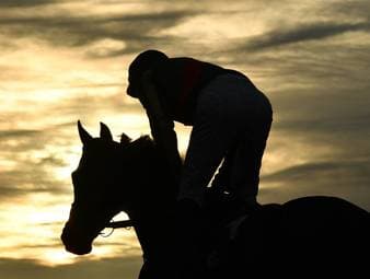Tragisches Unglück um Reitsportler